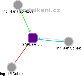 SAPLER a.s. - náhled vizuálního zobrazení vztahů obchodního rejstříku