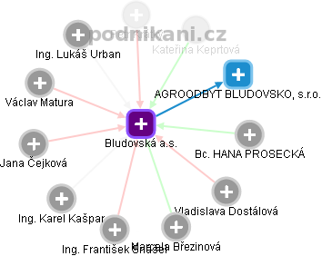 Bludovská a.s. - náhled vizuálního zobrazení vztahů obchodního rejstříku