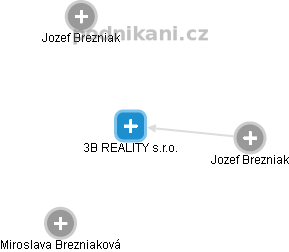 3B REALITY s.r.o. - náhled vizuálního zobrazení vztahů obchodního rejstříku