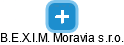 B.E.X.I.M. Moravia s.r.o. - náhled vizuálního zobrazení vztahů obchodního rejstříku