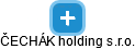 ČECHÁK holding s.r.o. - náhled vizuálního zobrazení vztahů obchodního rejstříku