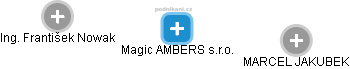 Magic AMBERS s.r.o. - náhled vizuálního zobrazení vztahů obchodního rejstříku