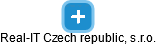 Real-IT Czech republic, s.r.o. - náhled vizuálního zobrazení vztahů obchodního rejstříku