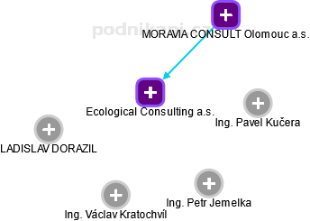Ecological Consulting a.s. - náhled vizuálního zobrazení vztahů obchodního rejstříku