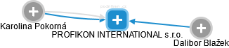 PROFIKON INTERNATIONAL s.r.o. - náhled vizuálního zobrazení vztahů obchodního rejstříku