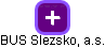 BUS Slezsko, a.s. - náhled vizuálního zobrazení vztahů obchodního rejstříku