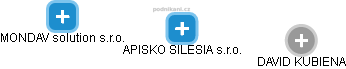 APISKO SILESIA s.r.o. - náhled vizuálního zobrazení vztahů obchodního rejstříku