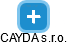 CAYDA s.r.o. - náhled vizuálního zobrazení vztahů obchodního rejstříku