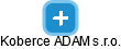 Koberce ADAM s.r.o. - náhled vizuálního zobrazení vztahů obchodního rejstříku