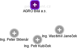 AGRO Bílá a.s. - náhled vizuálního zobrazení vztahů obchodního rejstříku