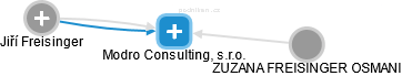 Modro Consulting, s.r.o. - náhled vizuálního zobrazení vztahů obchodního rejstříku