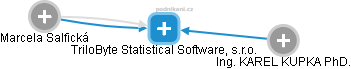 TriloByte Statistical Software, s.r.o. - náhled vizuálního zobrazení vztahů obchodního rejstříku