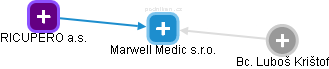 Marwell Medic s.r.o. - náhled vizuálního zobrazení vztahů obchodního rejstříku