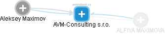 AVM-Consulting s.r.o. - náhled vizuálního zobrazení vztahů obchodního rejstříku
