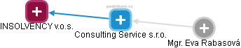 Consulting Service s.r.o. - náhled vizuálního zobrazení vztahů obchodního rejstříku
