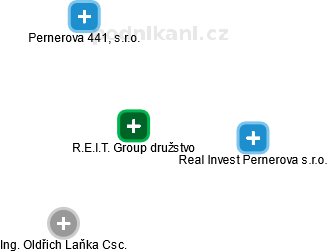 R.E.I.T. Group družstvo - náhled vizuálního zobrazení vztahů obchodního rejstříku