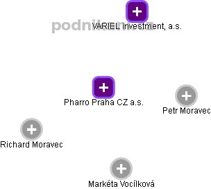 Pharro Praha CZ a.s. - náhled vizuálního zobrazení vztahů obchodního rejstříku