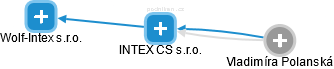 INTEX CS s.r.o. - náhled vizuálního zobrazení vztahů obchodního rejstříku