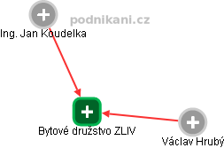 Bytové družstvo ZLIV - náhled vizuálního zobrazení vztahů obchodního rejstříku
