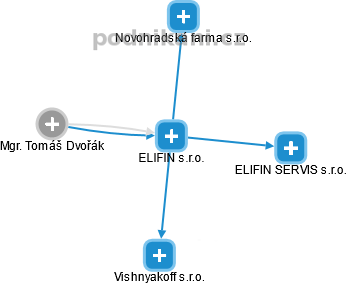 ELIFIN s.r.o. - náhled vizuálního zobrazení vztahů obchodního rejstříku
