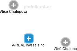 A-REAL invest, s.r.o. - náhled vizuálního zobrazení vztahů obchodního rejstříku