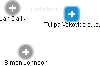Tulipa Vokovice s.r.o. - náhled vizuálního zobrazení vztahů obchodního rejstříku