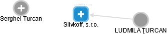 Slivkoff, s.r.o. - náhled vizuálního zobrazení vztahů obchodního rejstříku