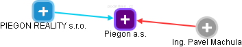 Piegon a.s. - náhled vizuálního zobrazení vztahů obchodního rejstříku