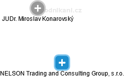 NELSON Trading and Consulting Group, s.r.o. - náhled vizuálního zobrazení vztahů obchodního rejstříku
