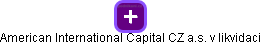 American International Capital CZ a.s. v likvidaci - náhled vizuálního zobrazení vztahů obchodního rejstříku