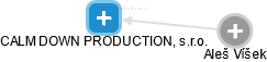CALM DOWN PRODUCTION, s.r.o. - náhled vizuálního zobrazení vztahů obchodního rejstříku