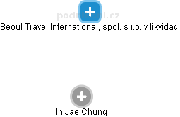 Seoul Travel International, spol. s r.o. v likvidaci - náhled vizuálního zobrazení vztahů obchodního rejstříku