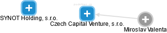 Czech Capital Venture, s.r.o. - náhled vizuálního zobrazení vztahů obchodního rejstříku