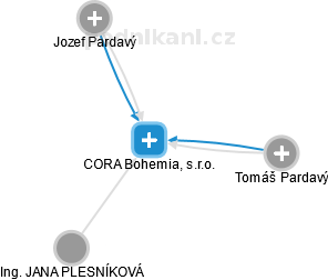 CORA Bohemia, s.r.o. - náhled vizuálního zobrazení vztahů obchodního rejstříku