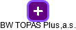 BW TOPAS Plus,a.s. - náhled vizuálního zobrazení vztahů obchodního rejstříku