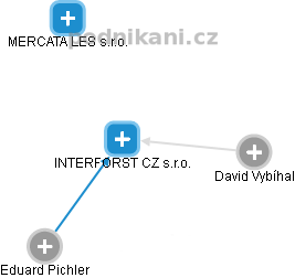 INTERFORST CZ s.r.o. - náhled vizuálního zobrazení vztahů obchodního rejstříku