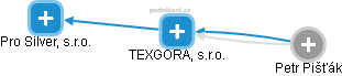 TEXGORA, s.r.o. - náhled vizuálního zobrazení vztahů obchodního rejstříku