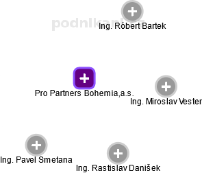 Pro Partners Bohemia,a.s. - náhled vizuálního zobrazení vztahů obchodního rejstříku