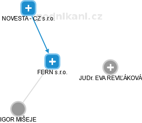 FERN s.r.o. - náhled vizuálního zobrazení vztahů obchodního rejstříku