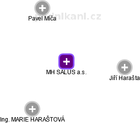 MH SALUS a.s. - náhled vizuálního zobrazení vztahů obchodního rejstříku