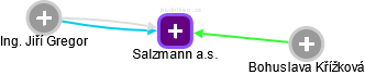Salzmann a.s. - náhled vizuálního zobrazení vztahů obchodního rejstříku