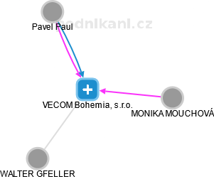 VECOM Bohemia, s.r.o. - náhled vizuálního zobrazení vztahů obchodního rejstříku