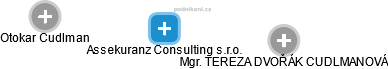 Assekuranz Consulting s.r.o. - náhled vizuálního zobrazení vztahů obchodního rejstříku