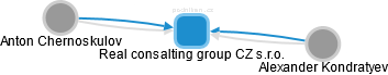 Real consalting group CZ s.r.o. - náhled vizuálního zobrazení vztahů obchodního rejstříku
