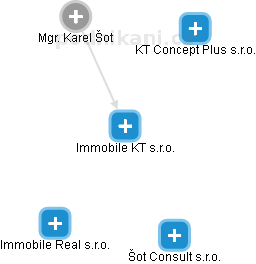 Immobile KT s.r.o. - náhled vizuálního zobrazení vztahů obchodního rejstříku