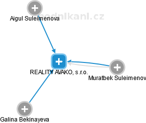 REALITY AVAKO, s.r.o. - náhled vizuálního zobrazení vztahů obchodního rejstříku