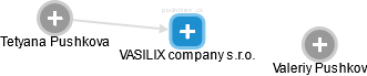 VASILIX company s.r.o. - náhled vizuálního zobrazení vztahů obchodního rejstříku