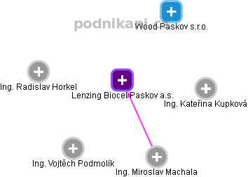 Lenzing Biocel Paskov a.s. - náhled vizuálního zobrazení vztahů obchodního rejstříku