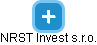 NRST Invest s.r.o. - náhled vizuálního zobrazení vztahů obchodního rejstříku