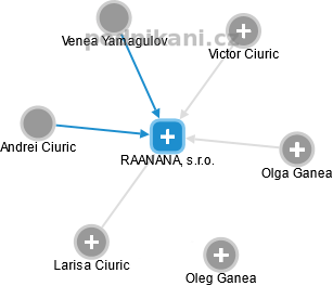 RAANANA, s.r.o. - náhled vizuálního zobrazení vztahů obchodního rejstříku